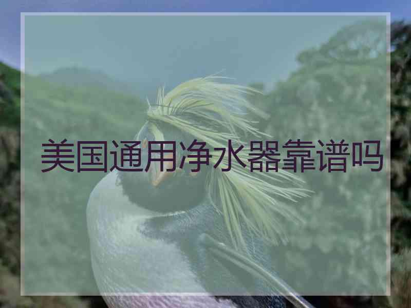 美国通用净水器靠谱吗