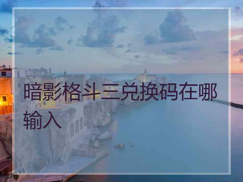 暗影格斗三兑换码在哪输入