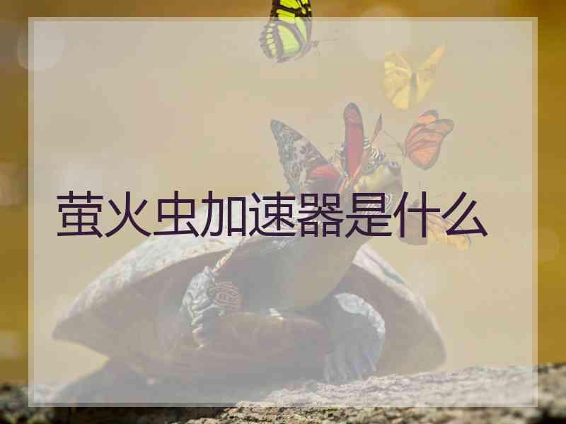 萤火虫加速器是什么