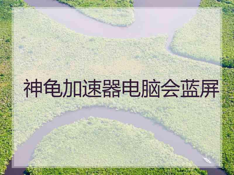 神龟加速器电脑会蓝屏