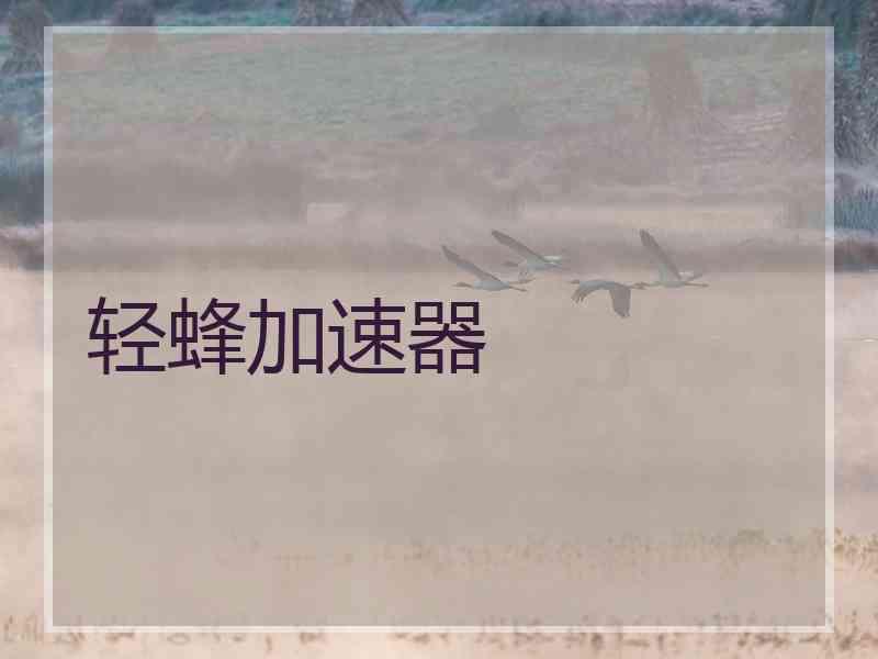 轻蜂加速器