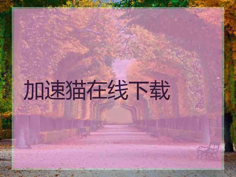 加速猫在线下载