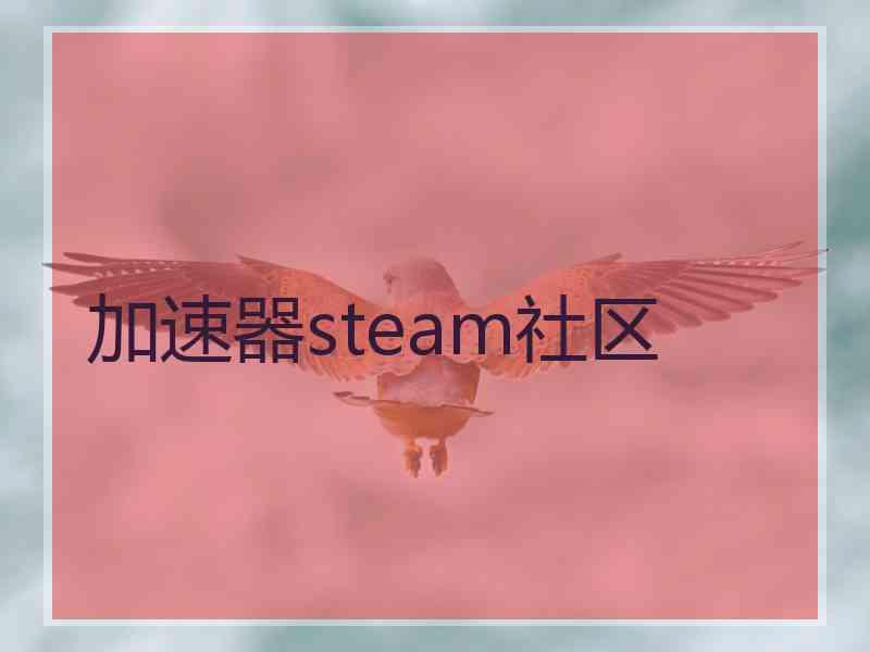 加速器steam社区