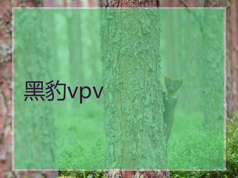 黑豹vpv