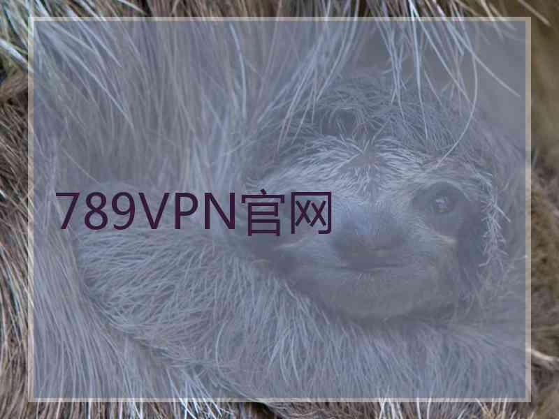 789VPN官网