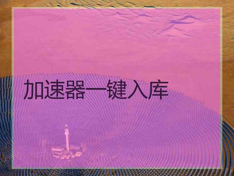 加速器一键入库