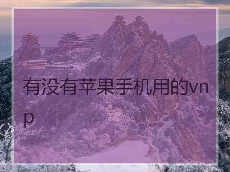 有没有苹果手机用的vnp
