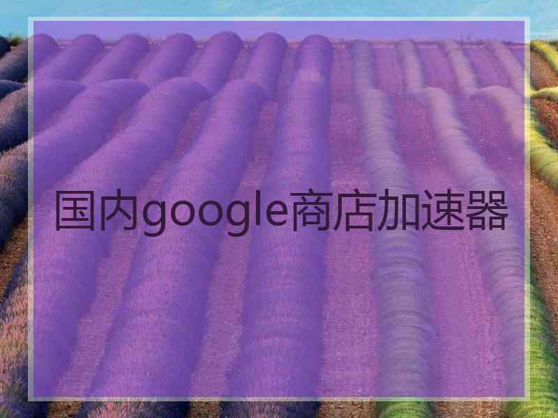 国内google商店加速器