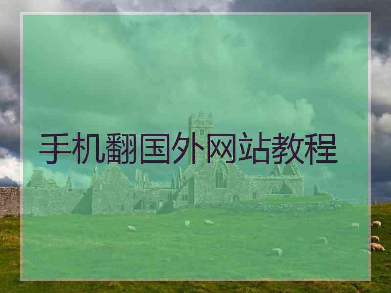 手机翻国外网站教程