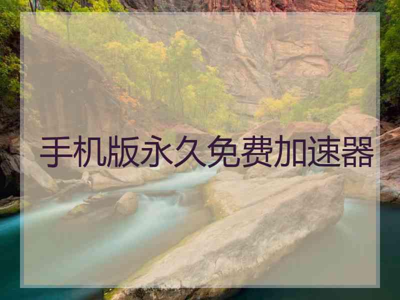 手机版永久免费加速器