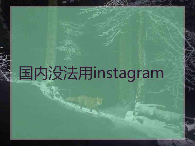 国内没法用instagram