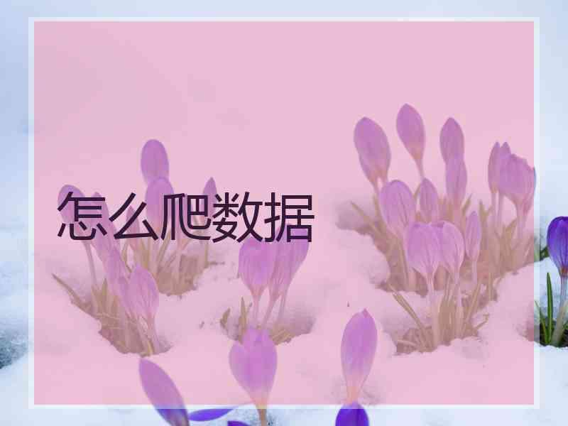 怎么爬数据