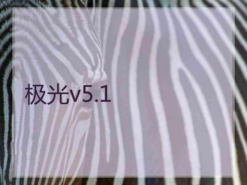极光v5.1