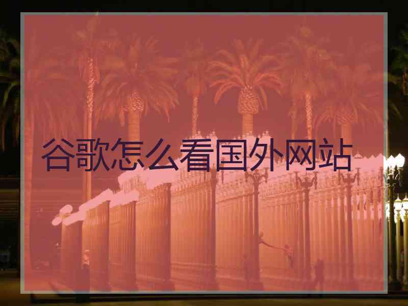 谷歌怎么看国外网站