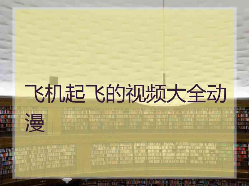 飞机起飞的视频大全动漫