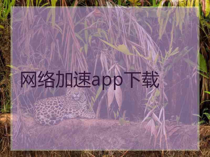 网络加速app下载