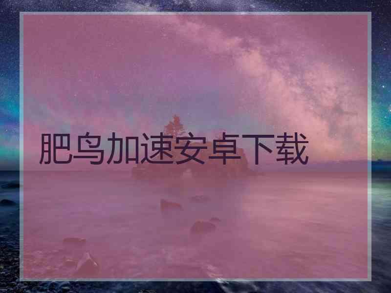 肥鸟加速安卓下载