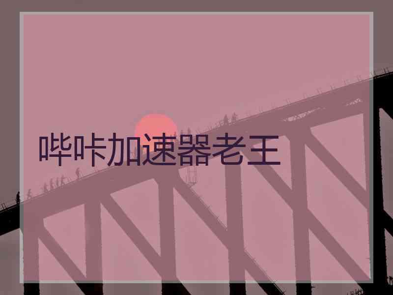 哔咔加速器老王