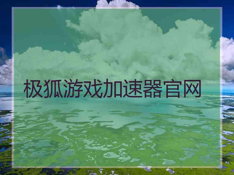 极狐游戏加速器官网