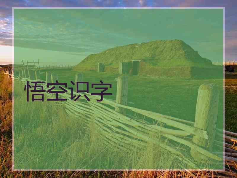 悟空识字