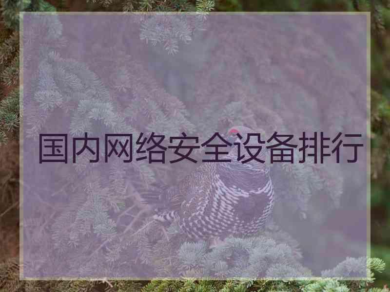 国内网络安全设备排行