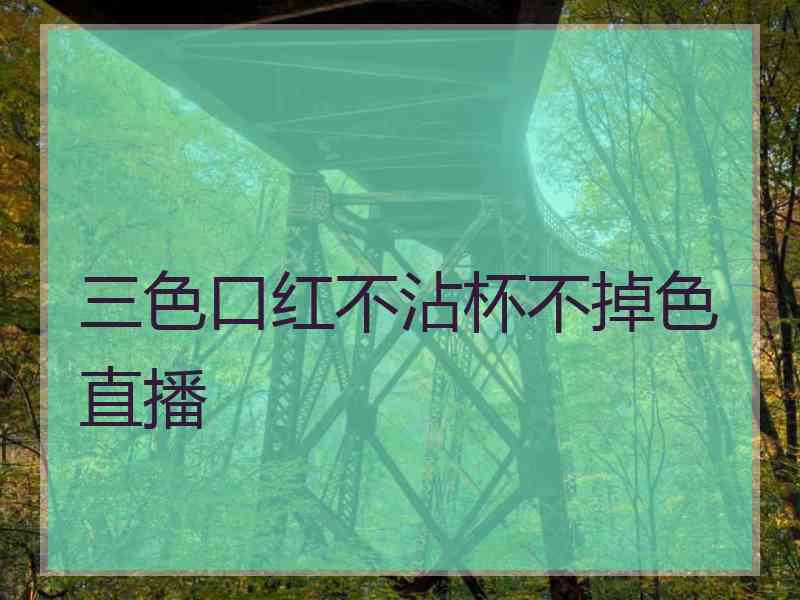 三色口红不沾杯不掉色直播
