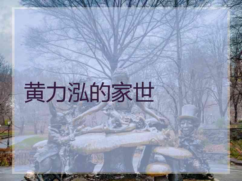 黄力泓的家世