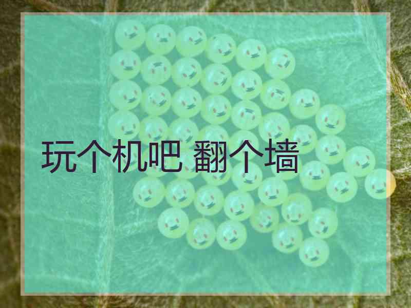 玩个机吧 翻个墙