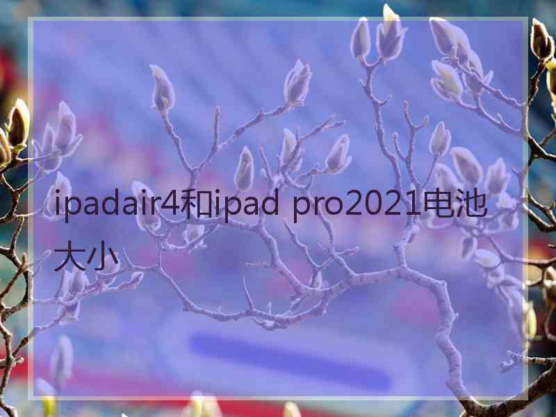 ipadair4和ipad pro2021电池大小