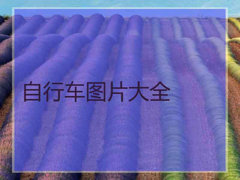 自行车图片大全