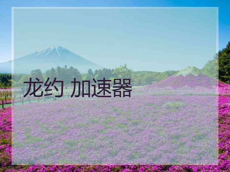 龙约 加速器