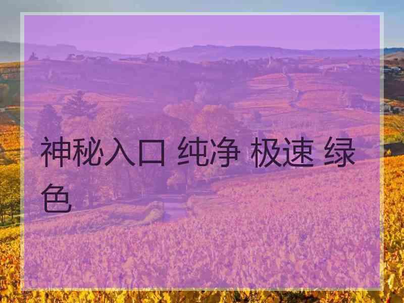 神秘入口 纯净 极速 绿色