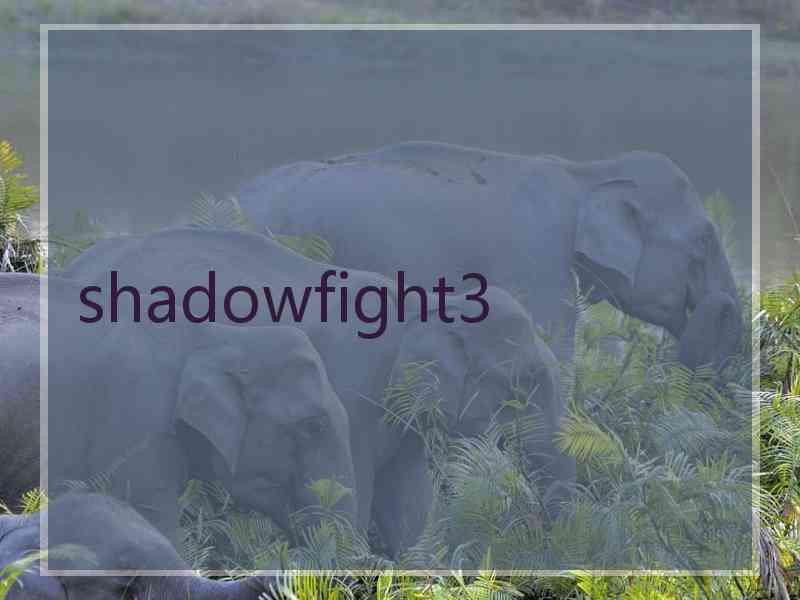 shadowfight3