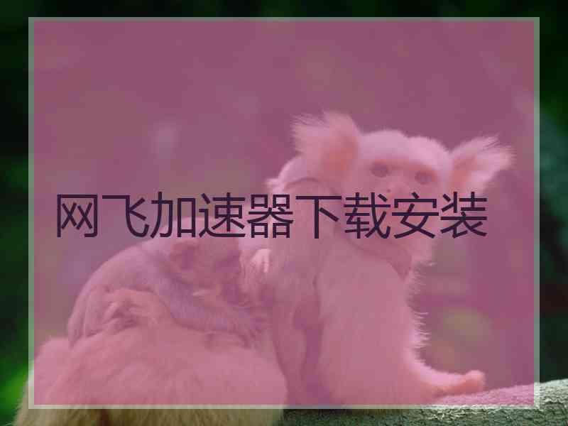 网飞加速器下载安装