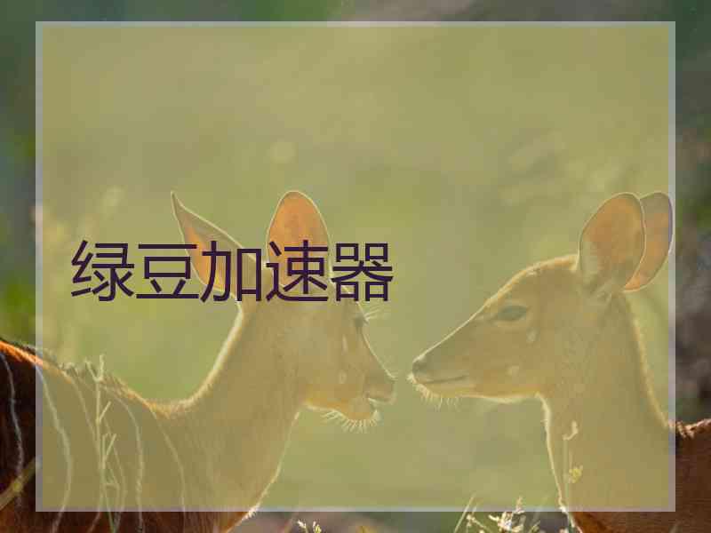 绿豆加速器