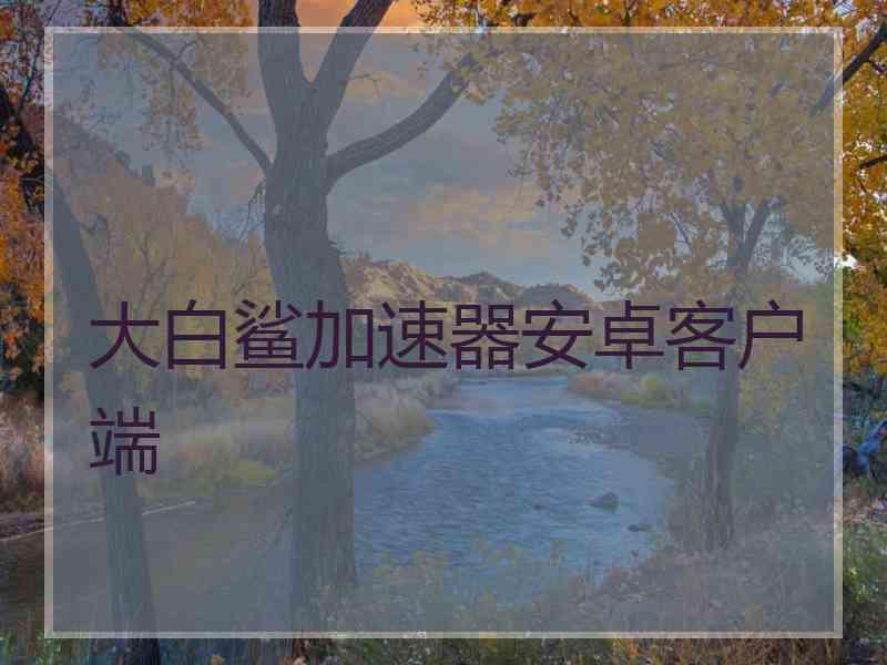 大白鲨加速器安卓客户端