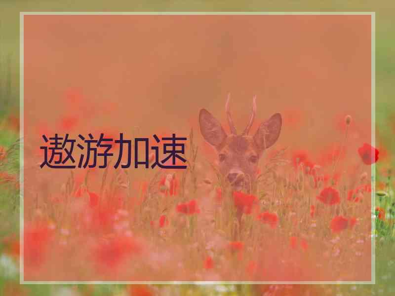遨游加速