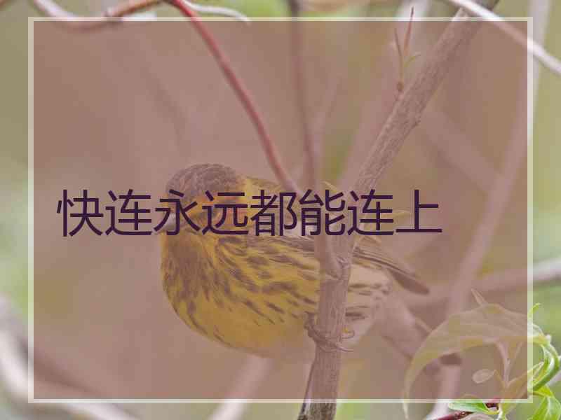 快连永远都能连上