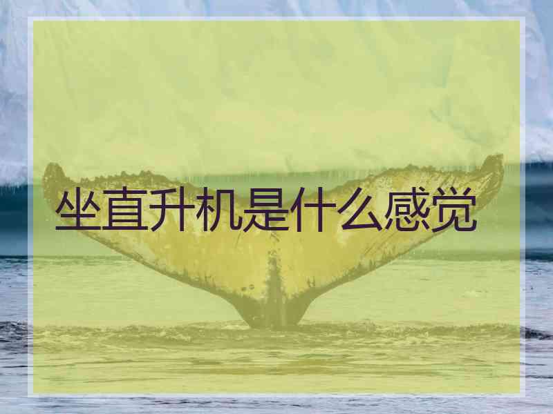 坐直升机是什么感觉