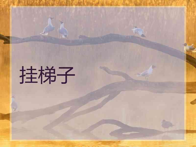 挂梯子
