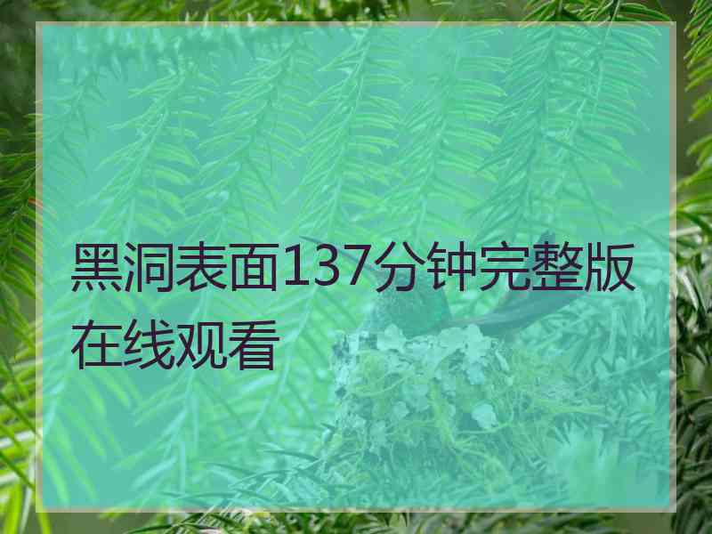 黑洞表面137分钟完整版在线观看