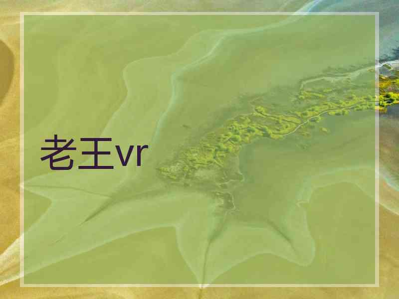 老王vr