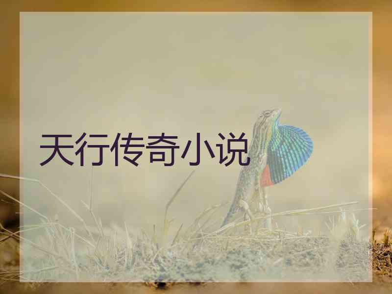 天行传奇小说
