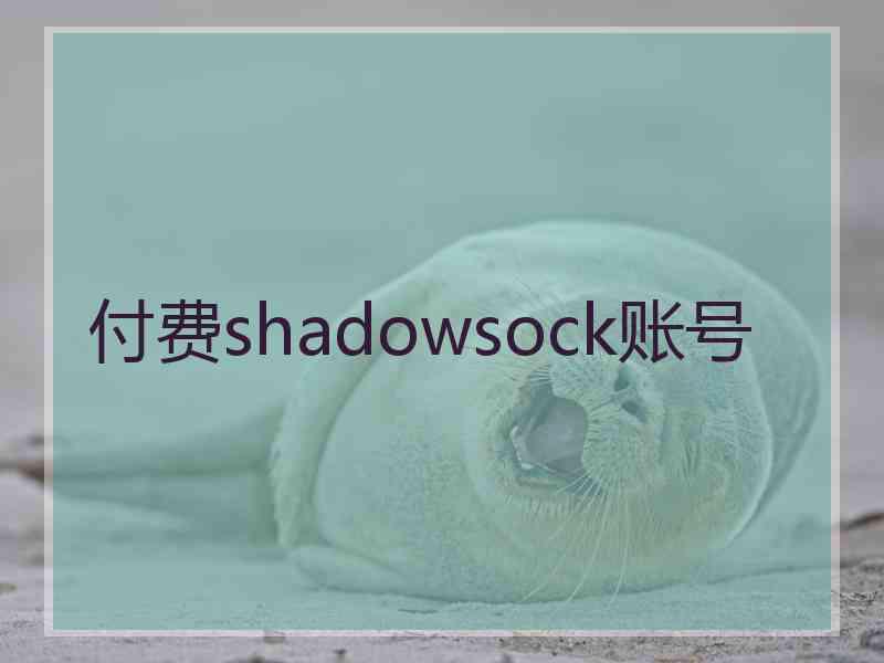 付费shadowsock账号