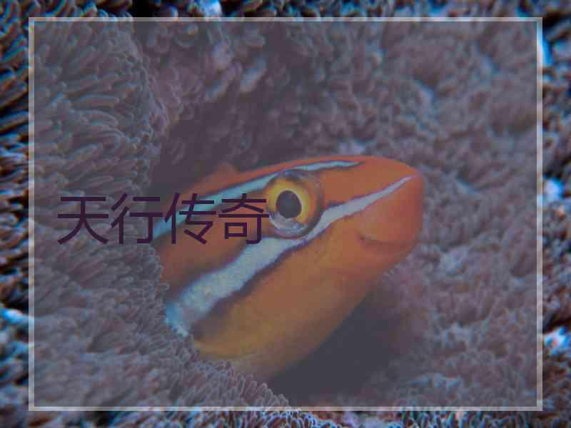 天行传奇