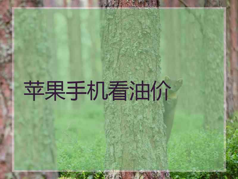 苹果手机看油价