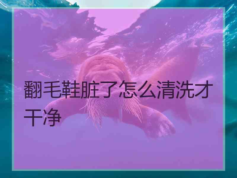 翻毛鞋脏了怎么清洗才干净