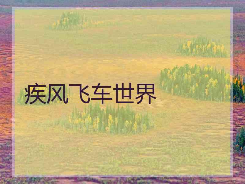 疾风飞车世界