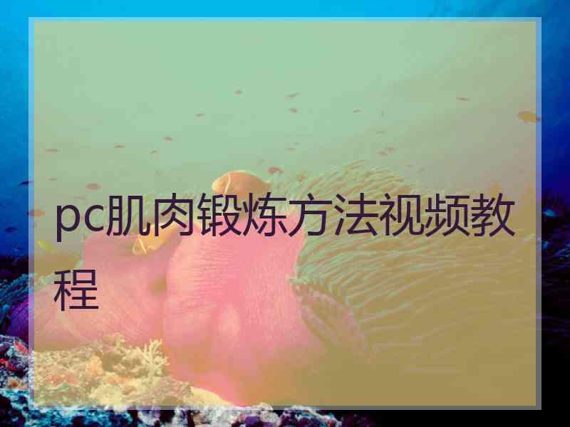 pc肌肉锻炼方法视频教程