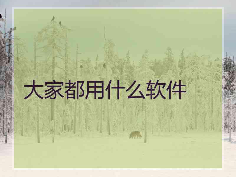 大家都用什么软件